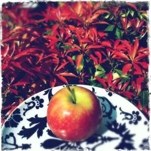 Anti-diet weight loss | Eat well in 2013