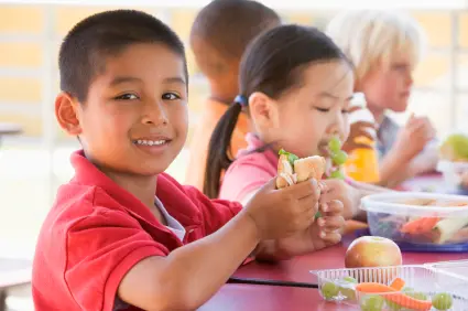 Packed Lunches and Your Child: What should they be eating..?