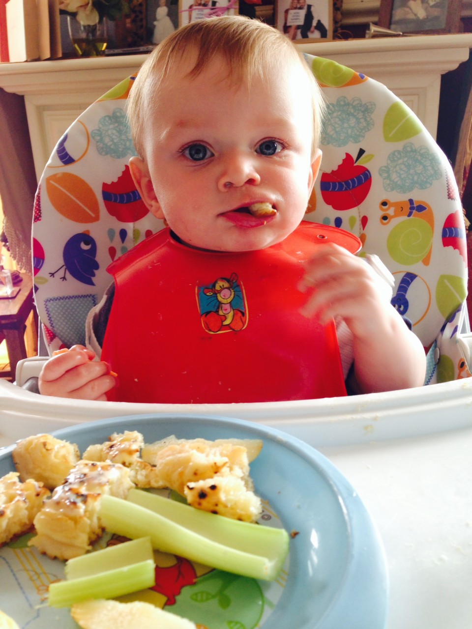 Help, I’m introducing solid foods to my baby SR Nutrition