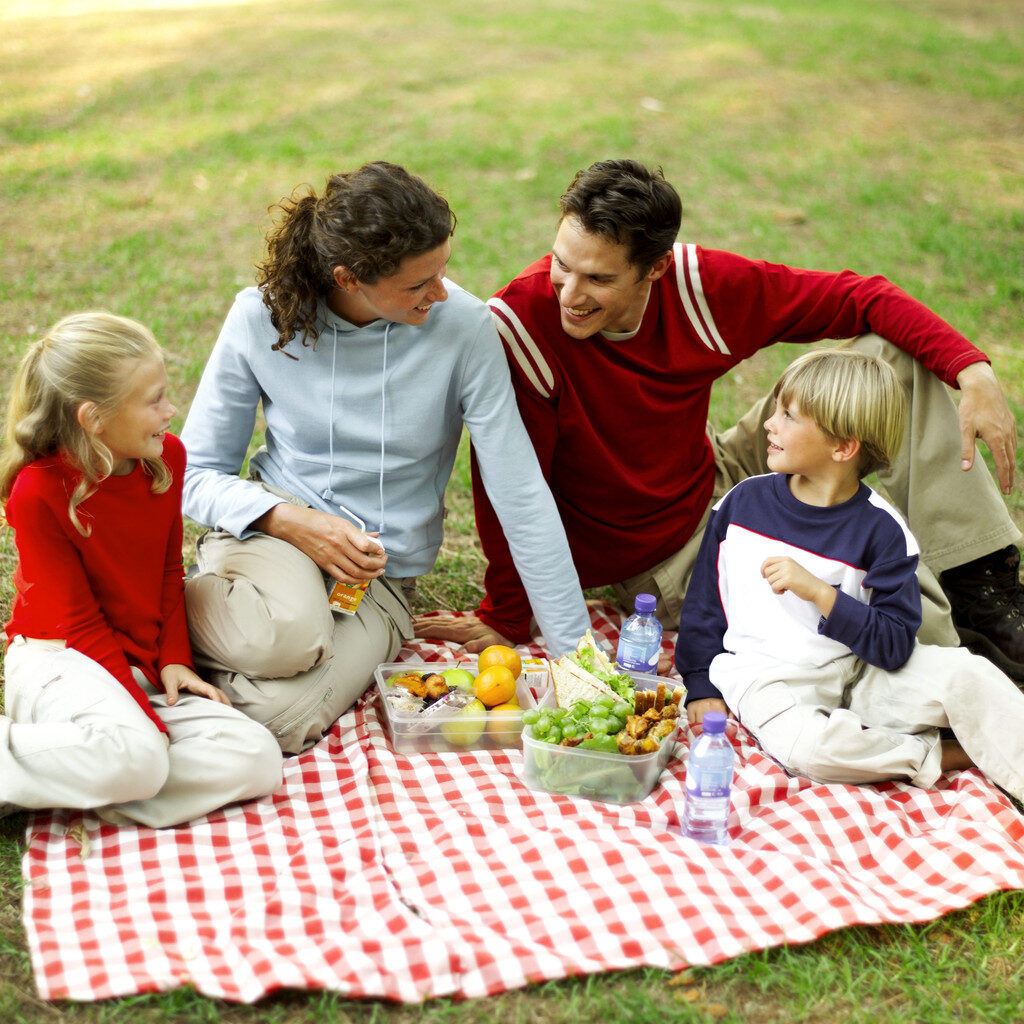 Why Does Role Modelling Matter at Mealtimes?