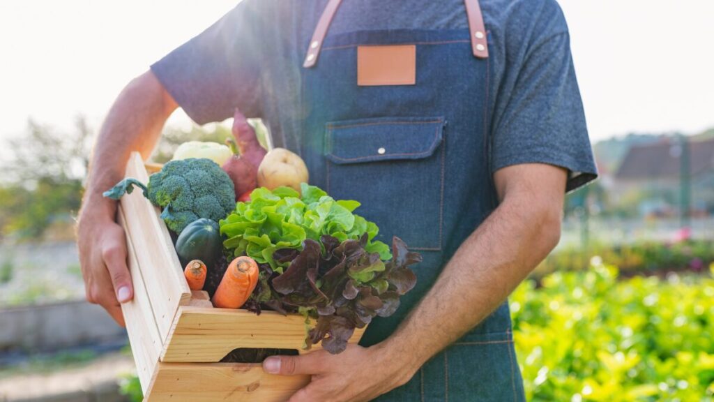 Is organic food better for babies and toddlers?