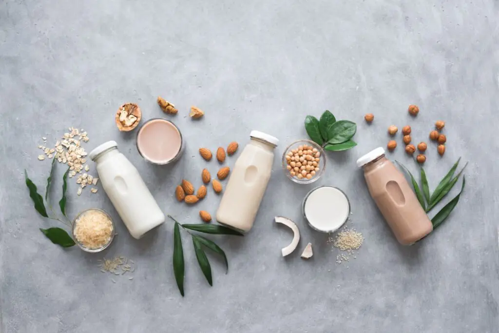 Plant Based Milks For Infants and Toddlers