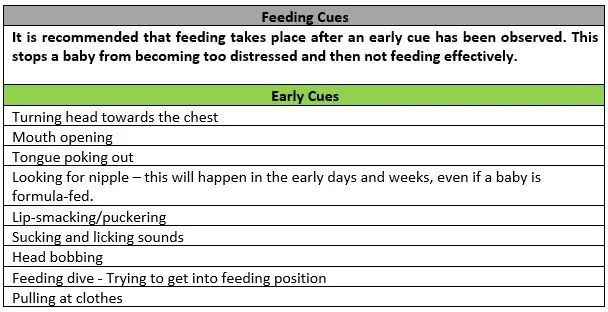 Responsive Feeding For Babies