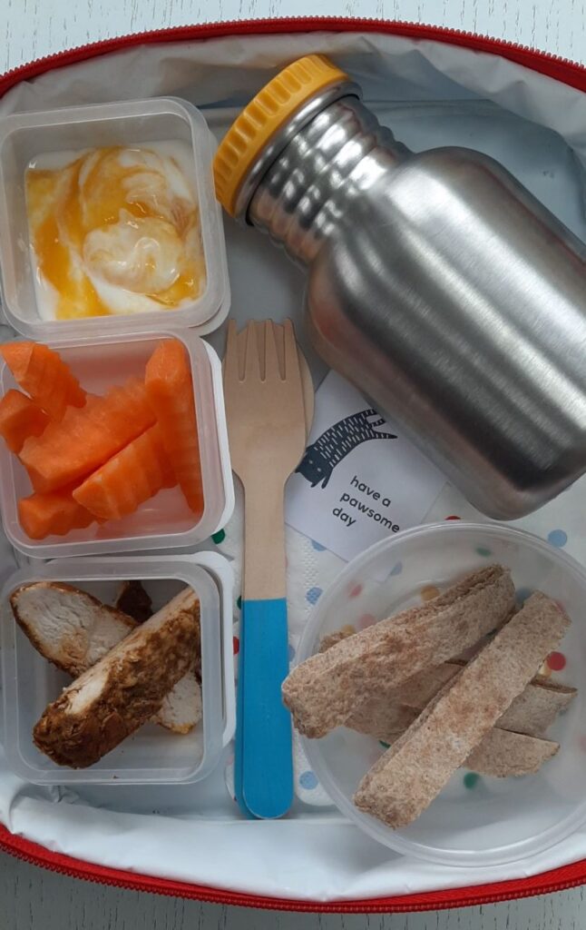 Healthy Packed Lunches for Children