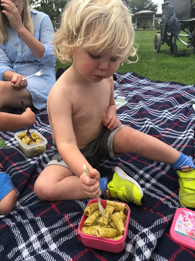 Are Picnics Good for Fussy Kids?
