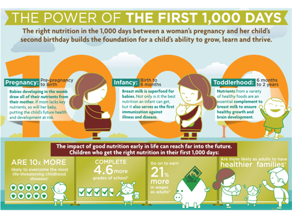 The Importance of Nutrition During the First 1000 Days of Life