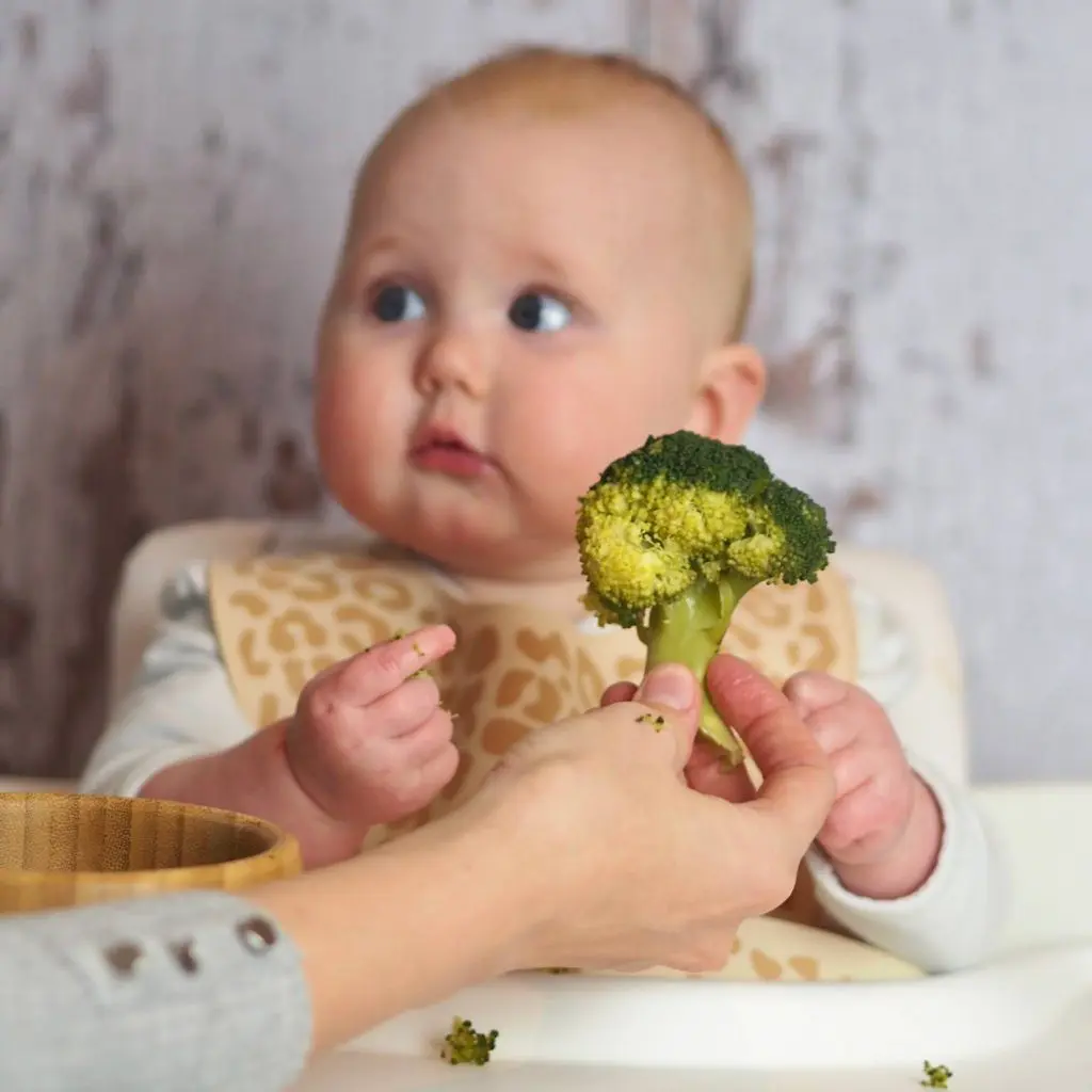 The Importance of Mealtime Environments When Weaning Your Baby
