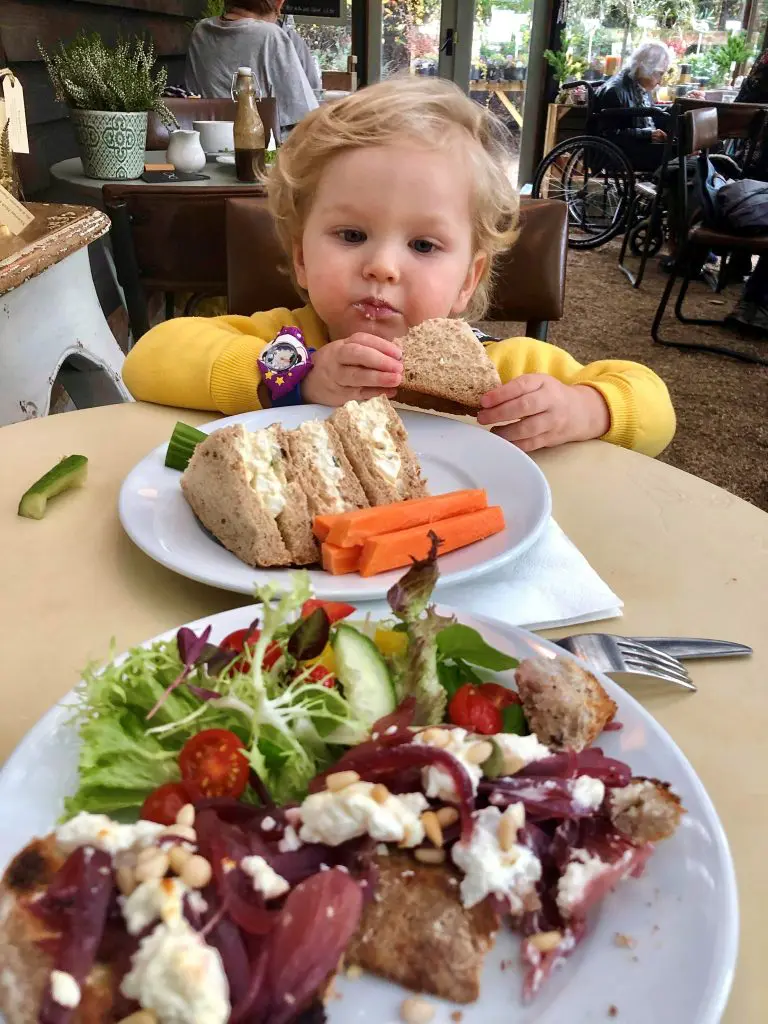 Eating Out - Top Tips For a Healthy Kids' Meal