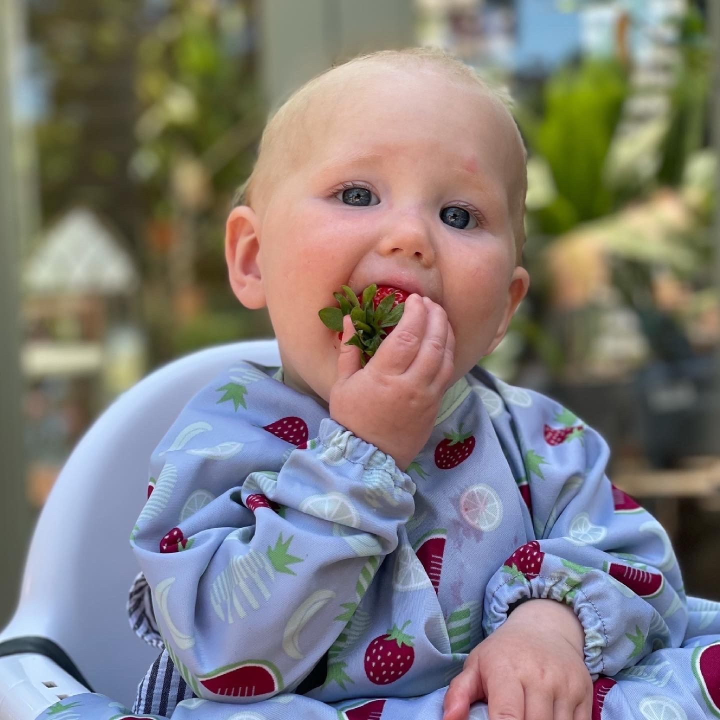 Vitamin C for Babies and Toddlers SR Nutrition