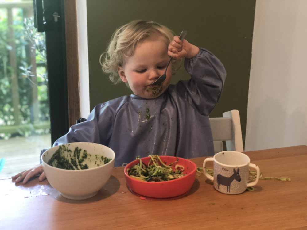 How much food should my toddler be eating?