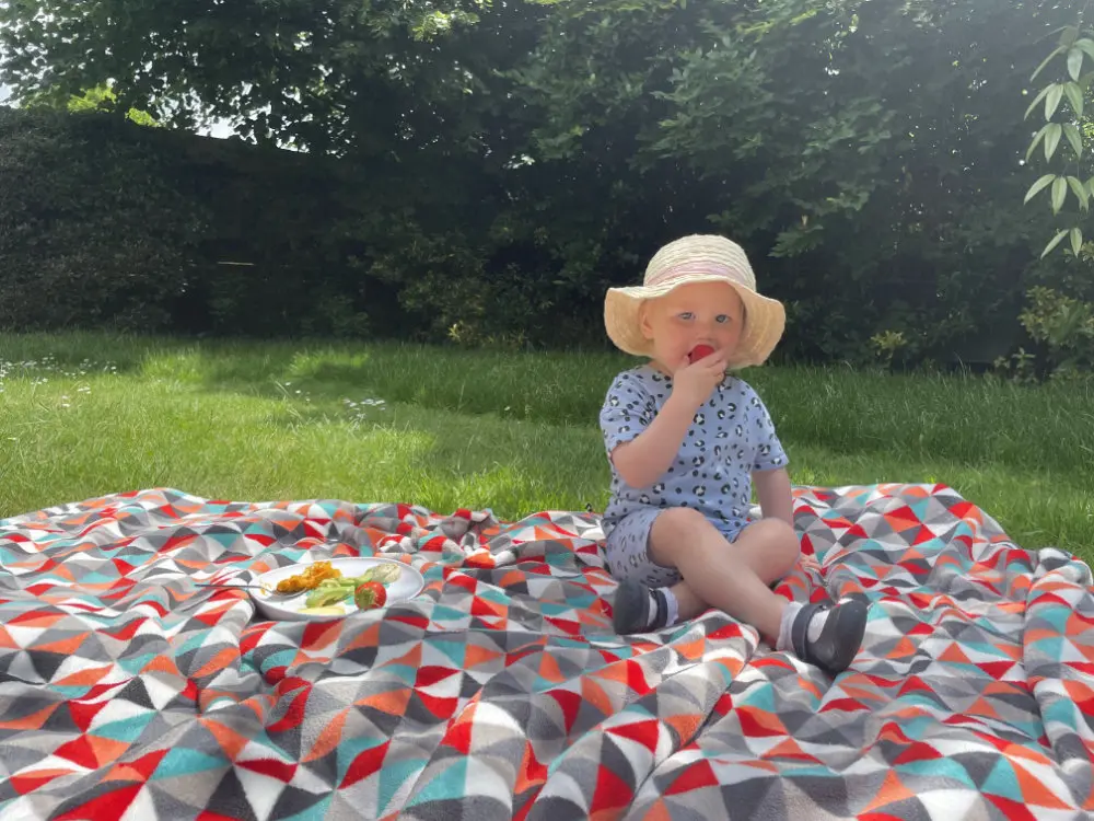 Are Picnics Good for Fussy Kids?