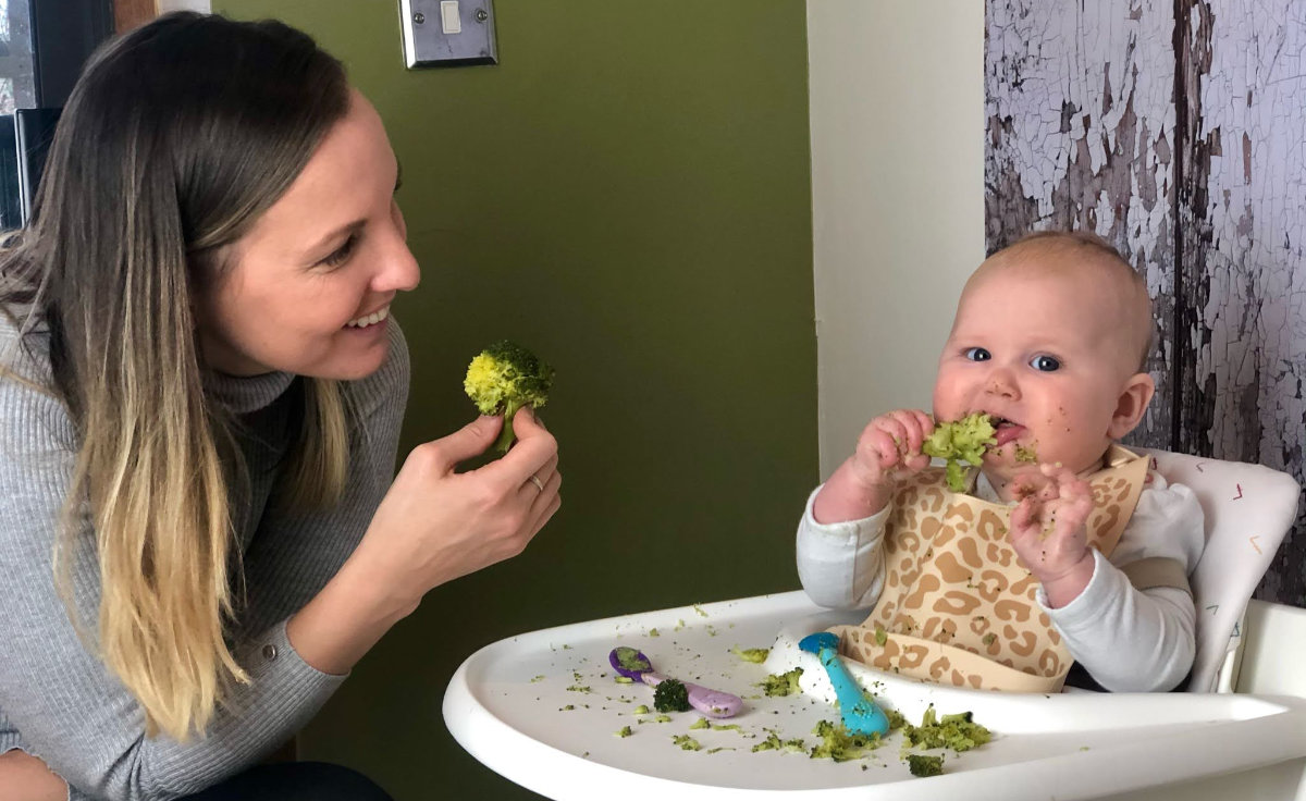 What Should a Toddler Eat in a Day? SR Nutrition