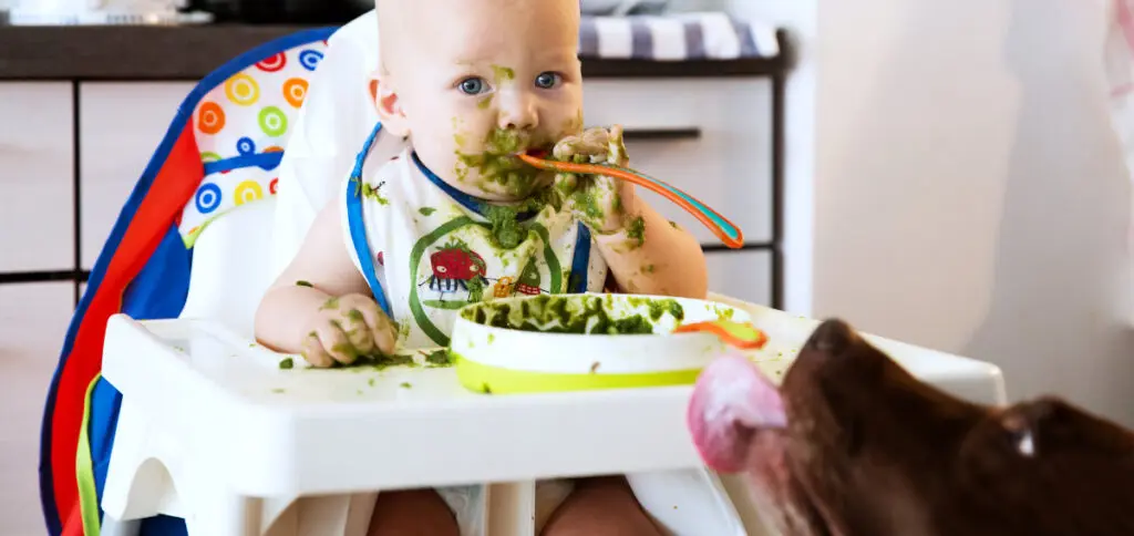 How to Cope with Weaning Mess