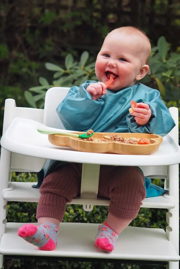 How to Choose a Highchair for Your Baby