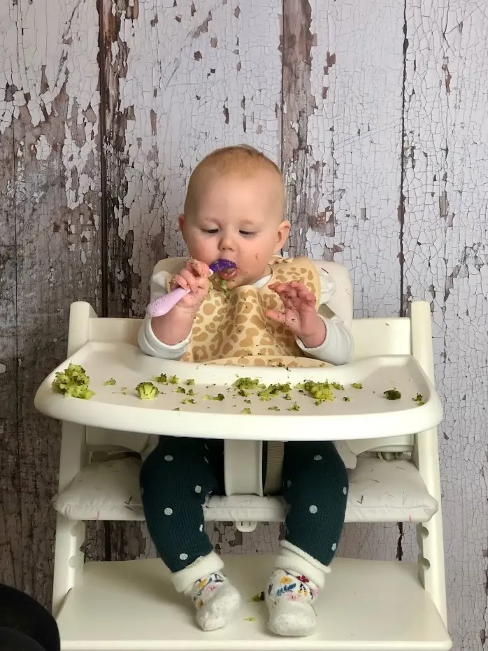 How to Choose a Highchair for Your Baby