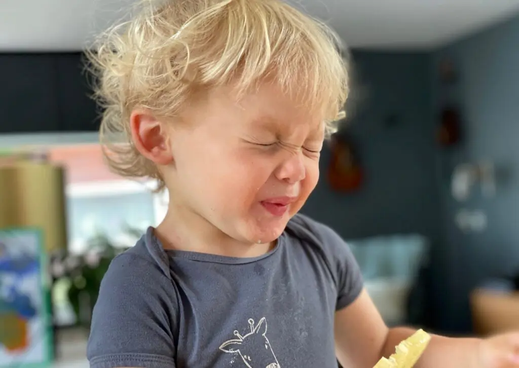 What Should I Do When My Child Refuses Their Meal?