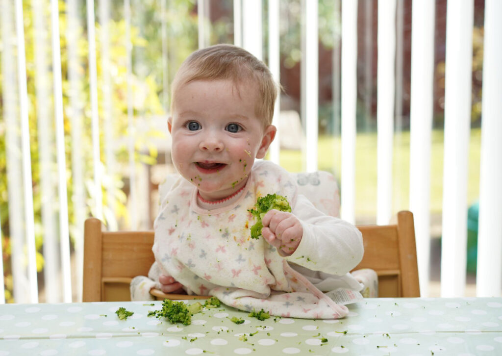 The 5 Big Benefits of My Online Weaning Course 