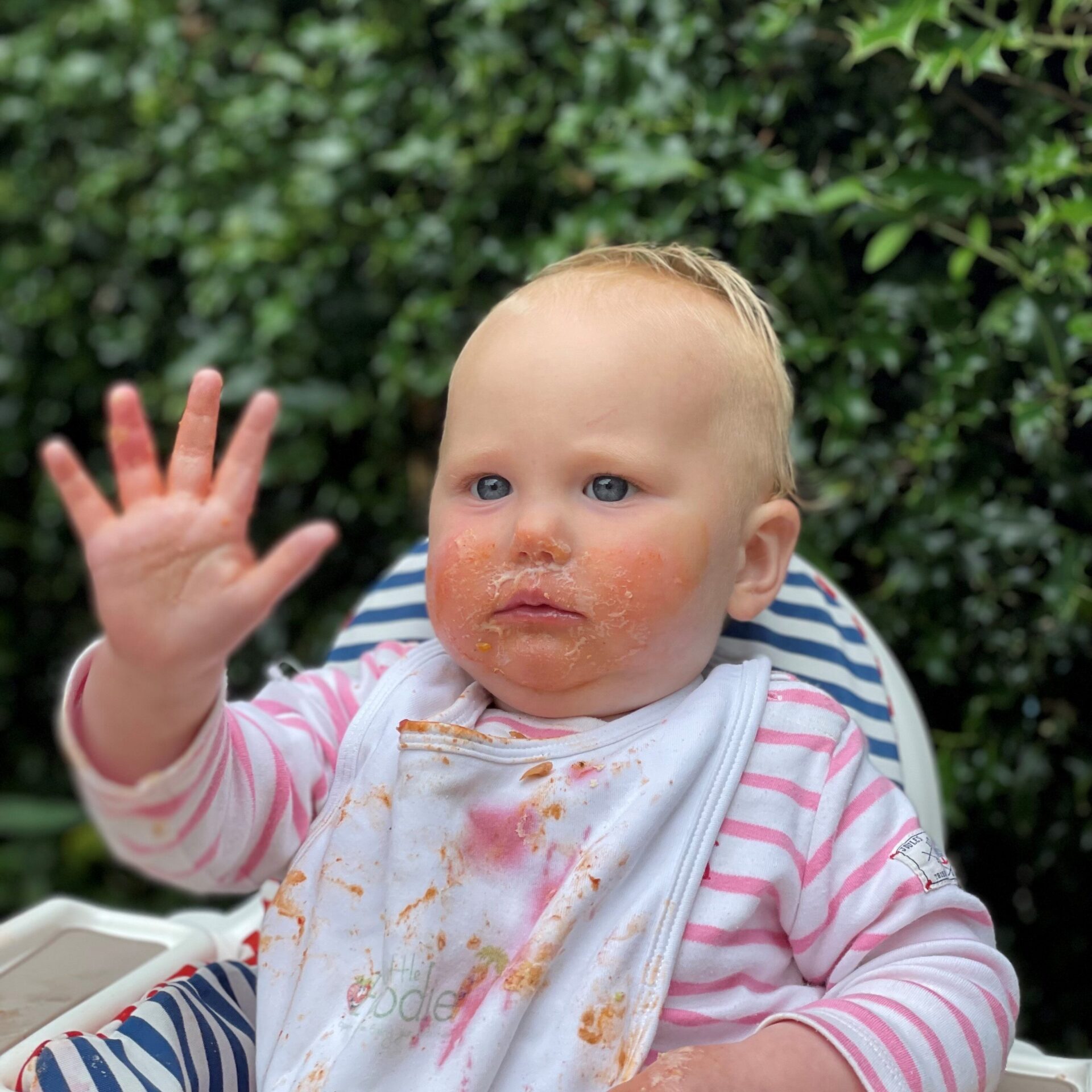 Fussy Eating Help for Toddlers