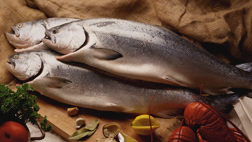 Omega-3 for babies and children